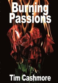 bokomslag Burning Passions