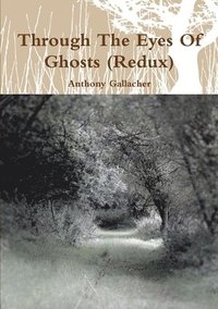 bokomslag Through the Eyes of Ghosts (Redux)