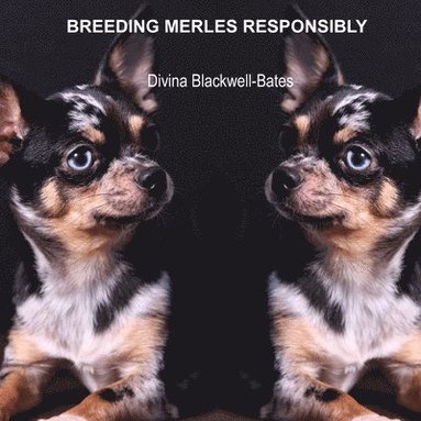 bokomslag Breeding Merles Responsibly