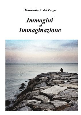 bokomslag Immagini Ed Immaginazione