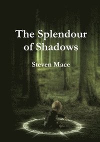 bokomslag The Splendour of Shadows