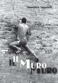 bokomslag Il Muro