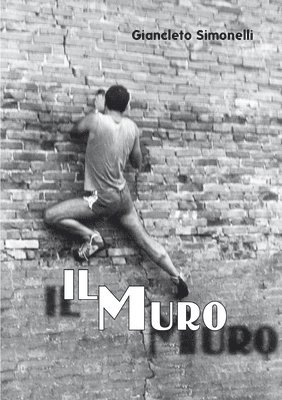 Il Muro 1