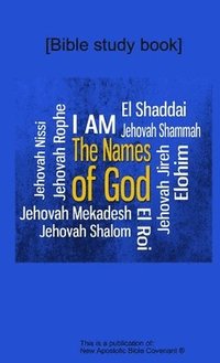 bokomslag The Names of God