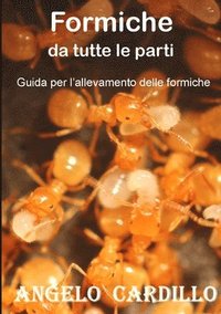 bokomslag Formiche da tutte le parti - Suggerimenti per lallevamento di formiche (ECO)