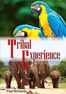 Paul Richards - Tribal Experience, Häftad