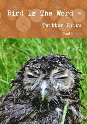 Bird is the Word - Twitter Haiku