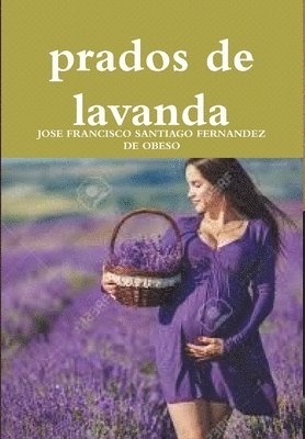 Prados De Lavanda 1