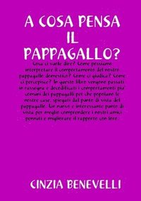 bokomslag Cosa Pensa Il Papppagallo?