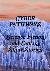 bokomslag Cyber Pathways