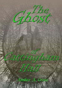 bokomslag The Ghost of Cattingham Hall
