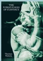 bokomslag Forgiveness of Eurydice