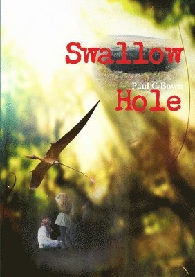 Swallow Hole 1