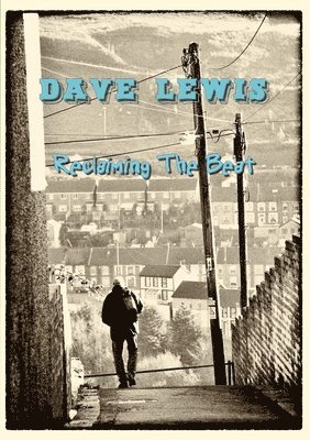 Dave Lewis - Reclaiming the Beat, Häftad