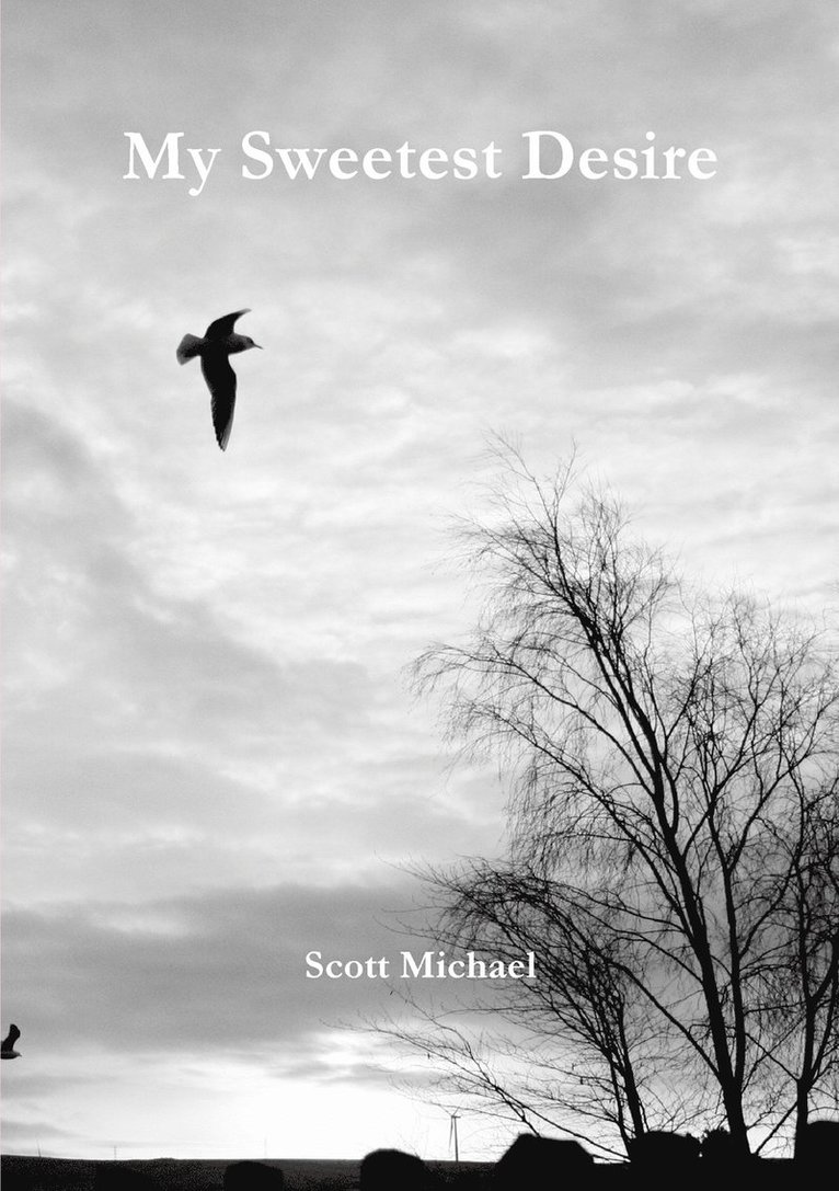 Scott Michael - My Sweetest Desire, Häftad