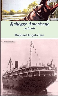 Schegge americane - articoli 1