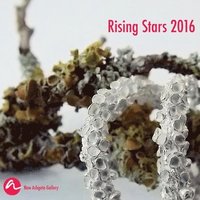 bokomslag Rising Stars 2016