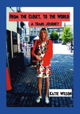 Katie Wilson - From the Closet, to the World, Häftad