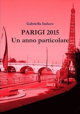 Gabriella Indaco - Parigi 2015 Un Anno Particolare, Häftad