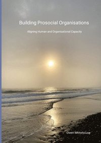 bokomslag Building Prosocial Organisations: Aligning Human and Organisational Growth