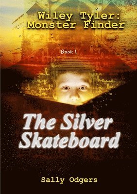 The Silver Skateboard 1