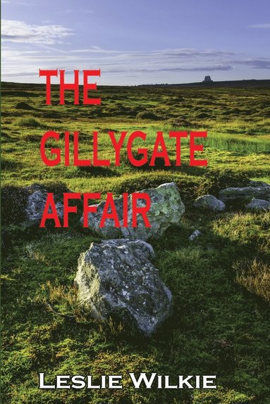 bokomslag Gillygate Affair