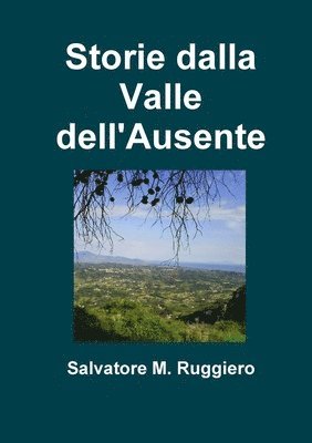 bokomslag Storie dalla Valle dell'Ausente