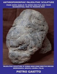 bokomslag Anthropomorphic Paleolithic Sculpture