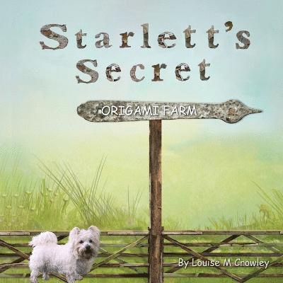 Starlett's Secret Origami Farm 1