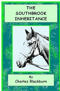 bokomslag Southbrook Inheritance