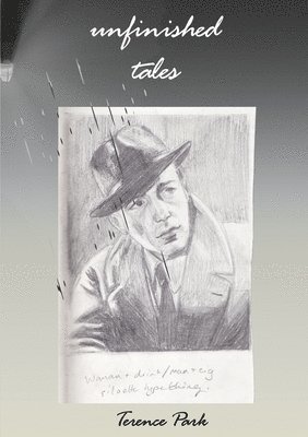 Terence Park - Unfinished Tales, Häftad