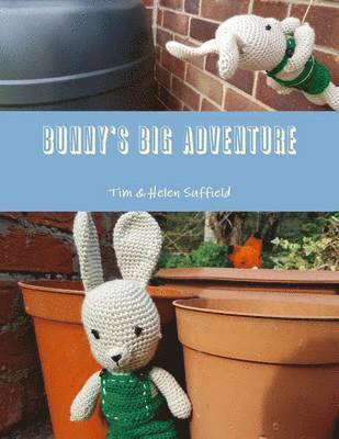 Bunny's Big Adventure 1