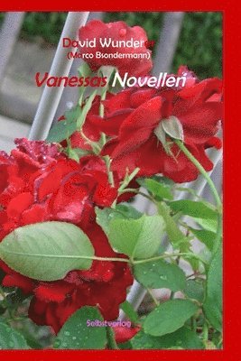 Vanessas Novellen 1