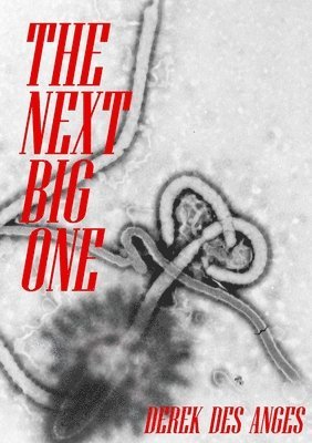Derek Des Anges - Next Big One, Häftad