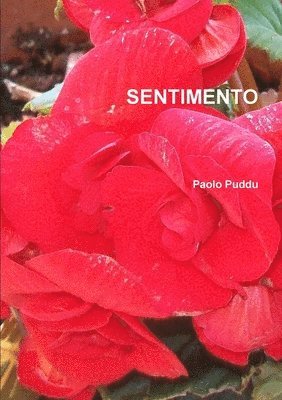 Sentimento