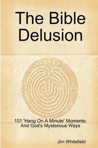 bokomslag The Bible Delusion: 101 'Hang on A Minute' Moments; and God's Mysterious Ways