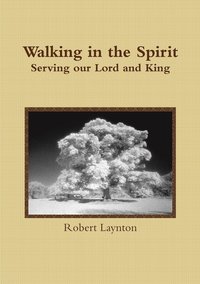 bokomslag Walking in the Spirit
