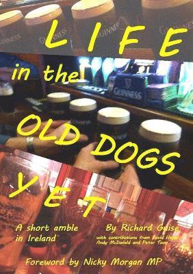 bokomslag Life in the Old Dogs Yet: a Short Amble in Ireland