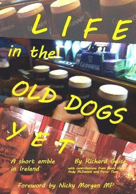 Life in the Old Dogs Yet: a Short Amble in Ireland 1