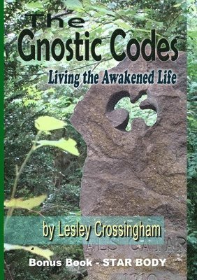 bokomslag The Gnostic Codes