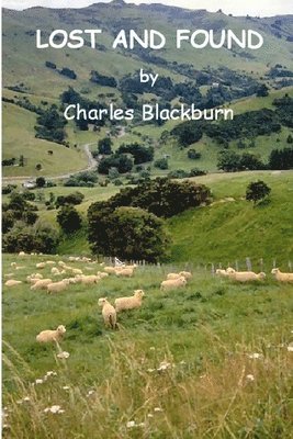 Robbie Robinson - Lost and Found, Häftad