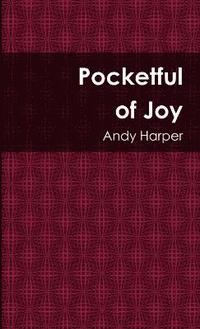 bokomslag Pocketful of Joy