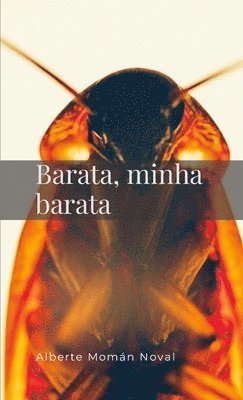 bokomslag Barata, minha barata