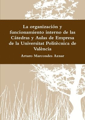 bokomslag Organizacion y Funcionamiento Interno De Las Catedras y Aulas De Empresa De La Universitat Politecnica De Valencia