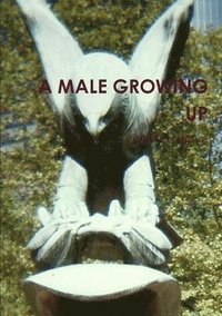 bokomslag A Male Growing Up