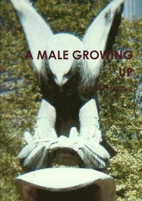 bokomslag Male Growing Up