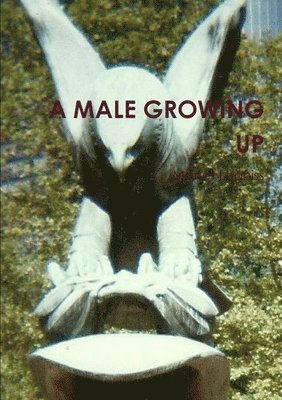 A Male Growing Up 1