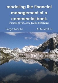 bokomslag Modeling the Financial Management of a Commercial Bank