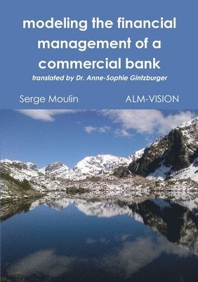 bokomslag Modeling the Financial Management of a Commercial Bank