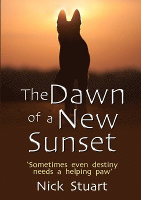 Dawn of a New Sunset